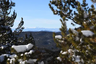 DSC_4990 (Large).JPG